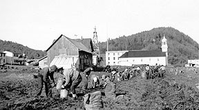 Holy Cross, 1925 Harvesting Potatoes